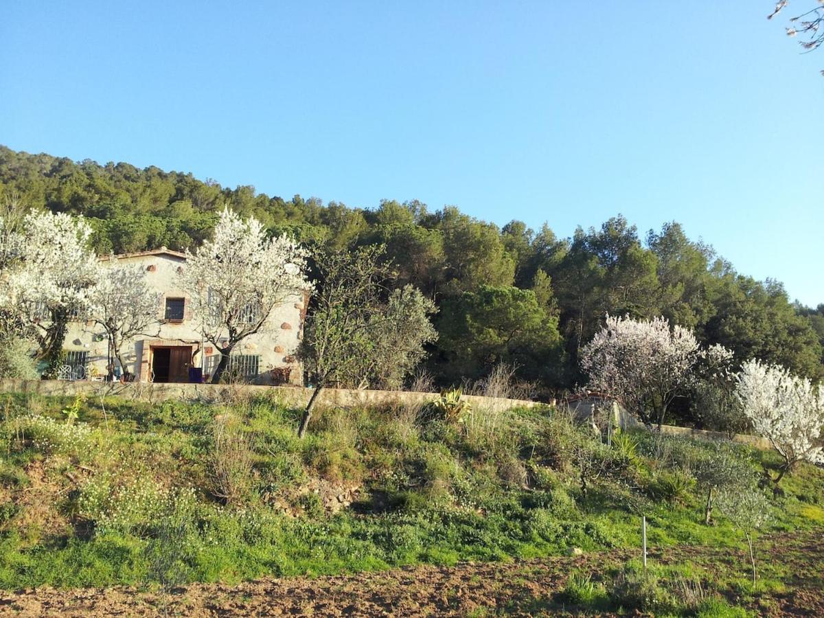 Masia Can Sunyer Agroturismo Ла Гарига Екстериор снимка