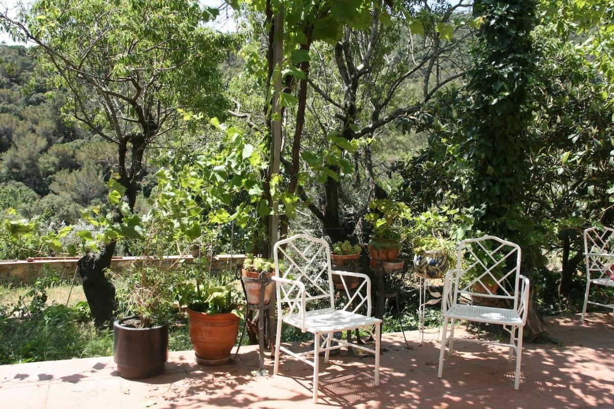 Masia Can Sunyer Agroturismo Ла Гарига Екстериор снимка