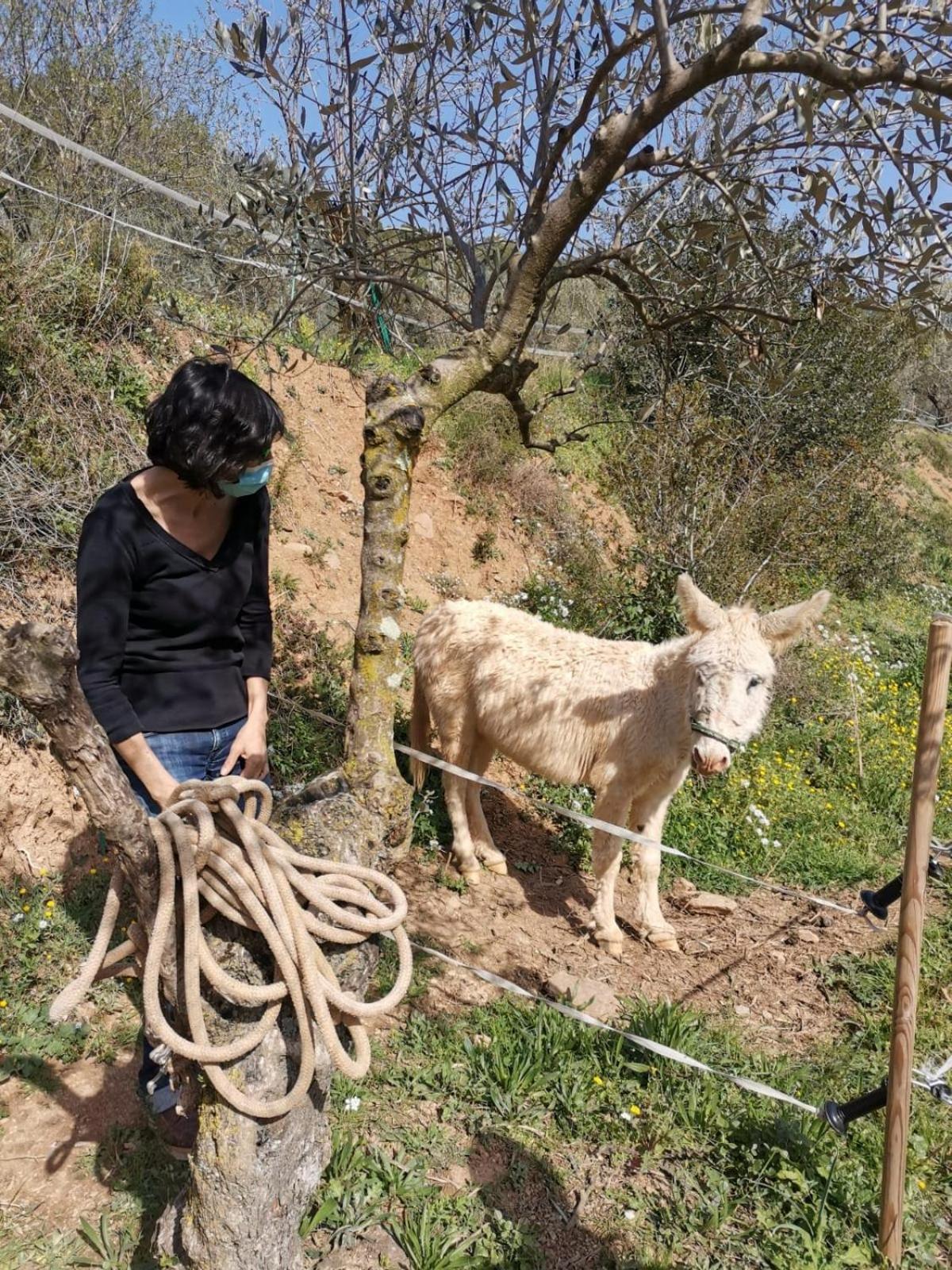 Masia Can Sunyer Agroturismo Ла Гарига Екстериор снимка